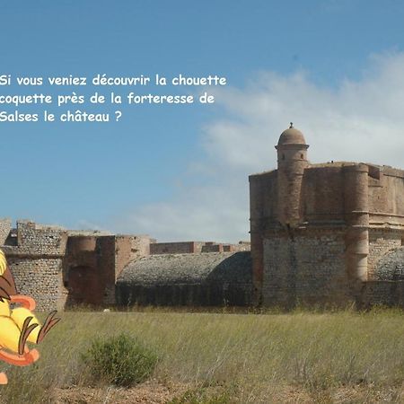 فيلا Chouette Coquette سالس-ليه-شاتو المظهر الخارجي الصورة