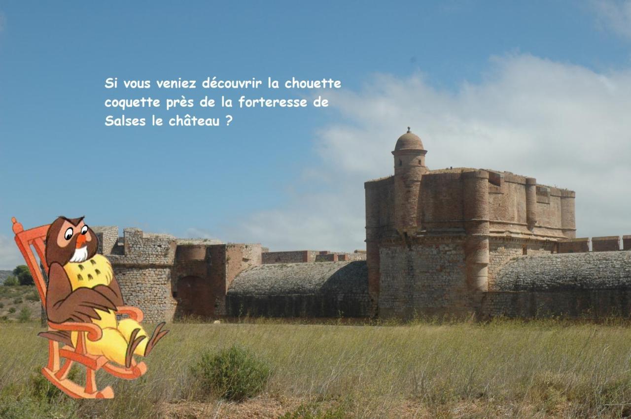 فيلا Chouette Coquette سالس-ليه-شاتو المظهر الخارجي الصورة